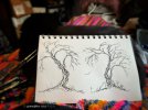 IMG_4463.jpeg