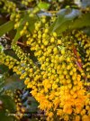 IMG_4576.jpeg