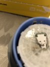 IMG_5786.jpeg