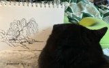 IMG_4617.jpeg