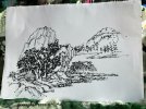 IMG_4630.jpeg
