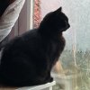 IMG_4637.jpeg