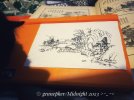 IMG_4720.jpeg