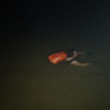 1703711974944.png