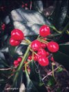 IMG_5081.jpeg