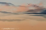 IMG_5118.jpeg