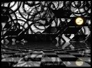 IMG_5235.jpeg