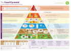 Irish government food pyramid.png