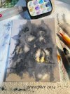 IMG_5632.jpeg