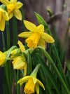 IMG_5978.jpeg