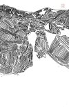 IMG_5478.jpeg