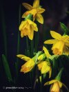 IMG_6011.jpeg