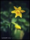 IMG_6037.jpeg