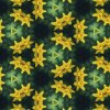 IMG_6057.jpeg