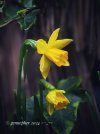 IMG_6064.jpeg