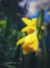 IMG_6075.jpeg