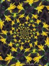 IMG_6087.jpeg