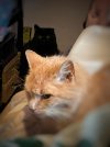 IMG_6144.jpeg