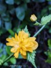 IMG_6241.jpeg
