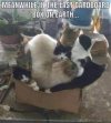 IMG_5388.jpeg