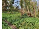 IMG_5875.jpeg