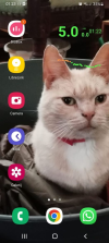 1711927912125.png