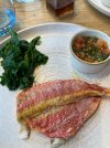 IMG_1712261632.624518.jpg