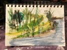 IMG_6863.jpeg