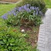 IMG_0232.jpeg
