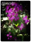 IMG_7069.jpeg