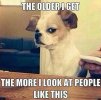 IMG_2454.jpeg