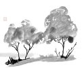 IMG_6154.jpeg
