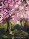 IMG_7217.jpeg