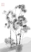 IMG_6206.jpeg