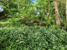 IMG_6250.jpeg