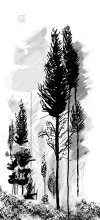 IMG_6269.jpeg