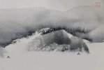 IMG_6305.jpeg