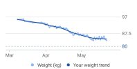 WeightYoYo.jpg