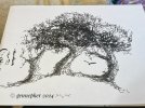 IMG_7704.jpeg