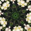 IMG_7779.jpeg