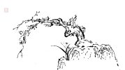 IMG_6502.jpeg