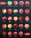 apples.jpeg