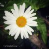 IMG_7948.jpeg