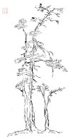 IMG_6543.jpeg