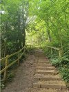 IMG_6559.jpeg
