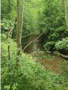 IMG_6560.jpeg
