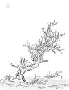 IMG_6570.jpeg