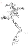 IMG_6598.jpeg