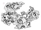 IMG_6637.jpeg