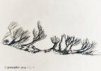 IMG_8216.jpeg